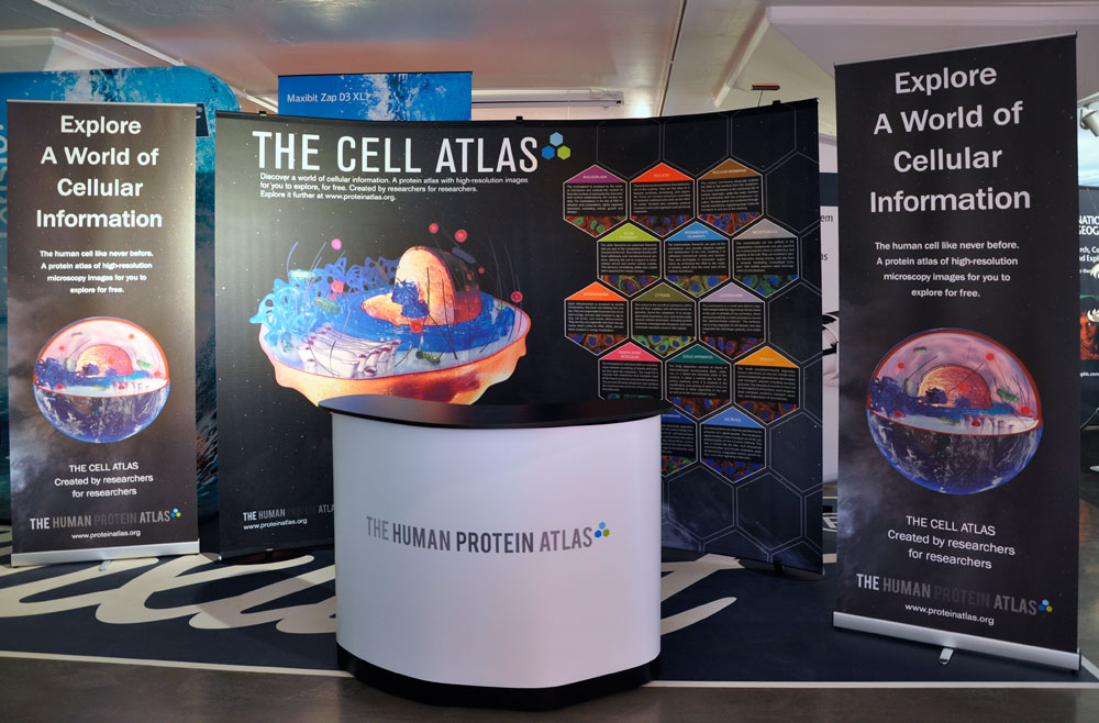 the Cell Atlas